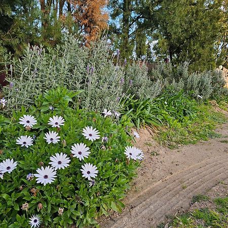 Gowrie Agapanthus Διαμέρισμα Singleton Εξωτερικό φωτογραφία