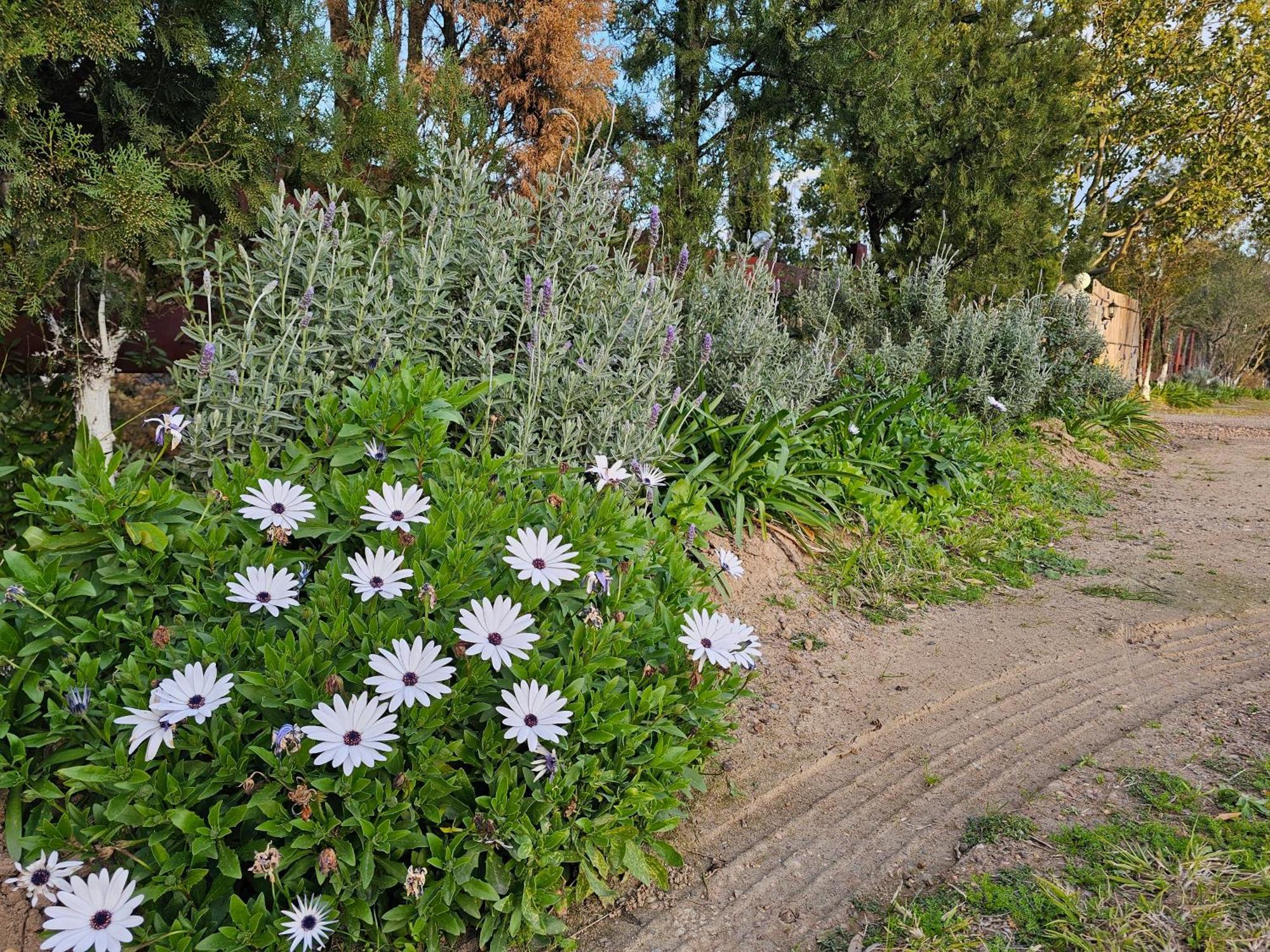 Gowrie Agapanthus Διαμέρισμα Singleton Εξωτερικό φωτογραφία